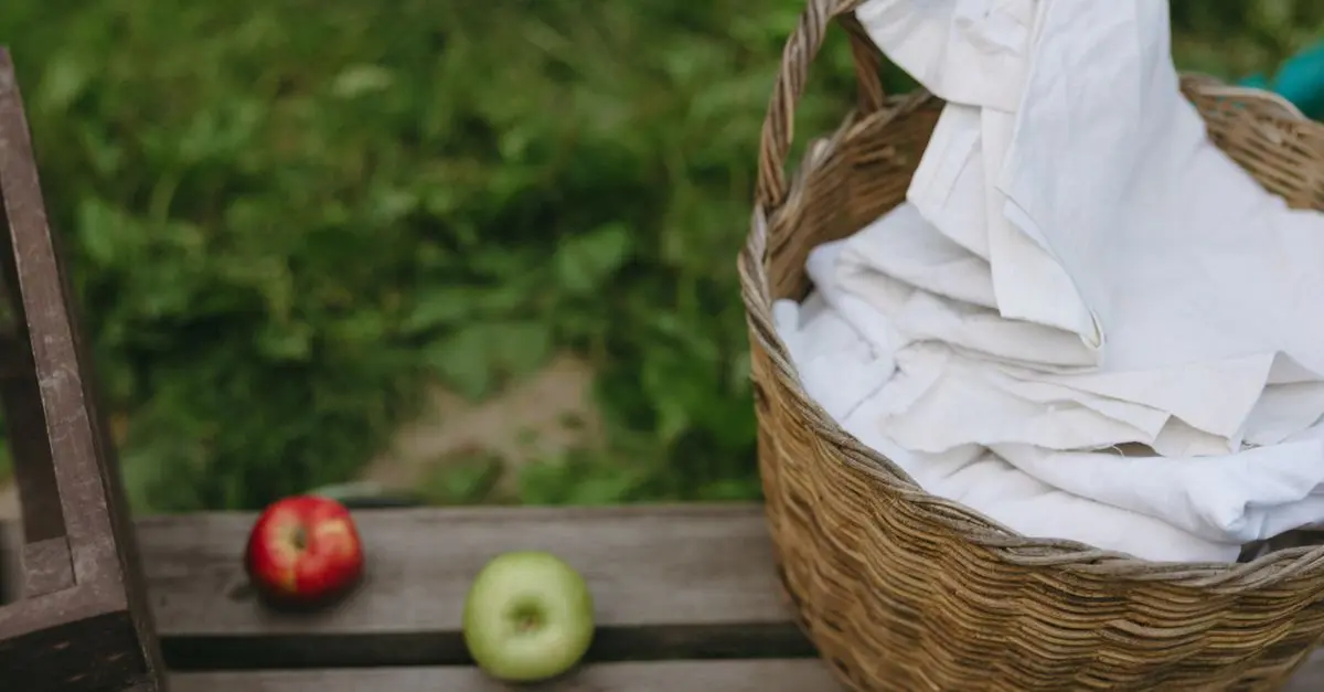 Vêtements Écoresponsables pour Bébé : Comment Se Lancer ?