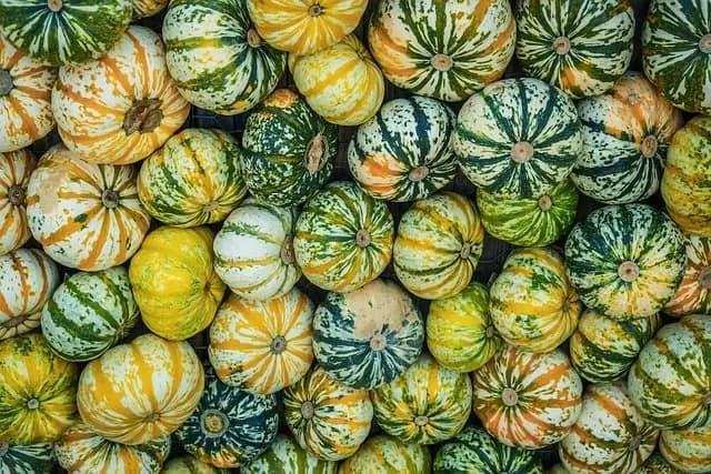Les Meilleures Couleurs à Choisir pour Habiller Bébé